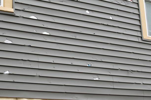 Best Engineered Wood Siding  in Coquille, OR